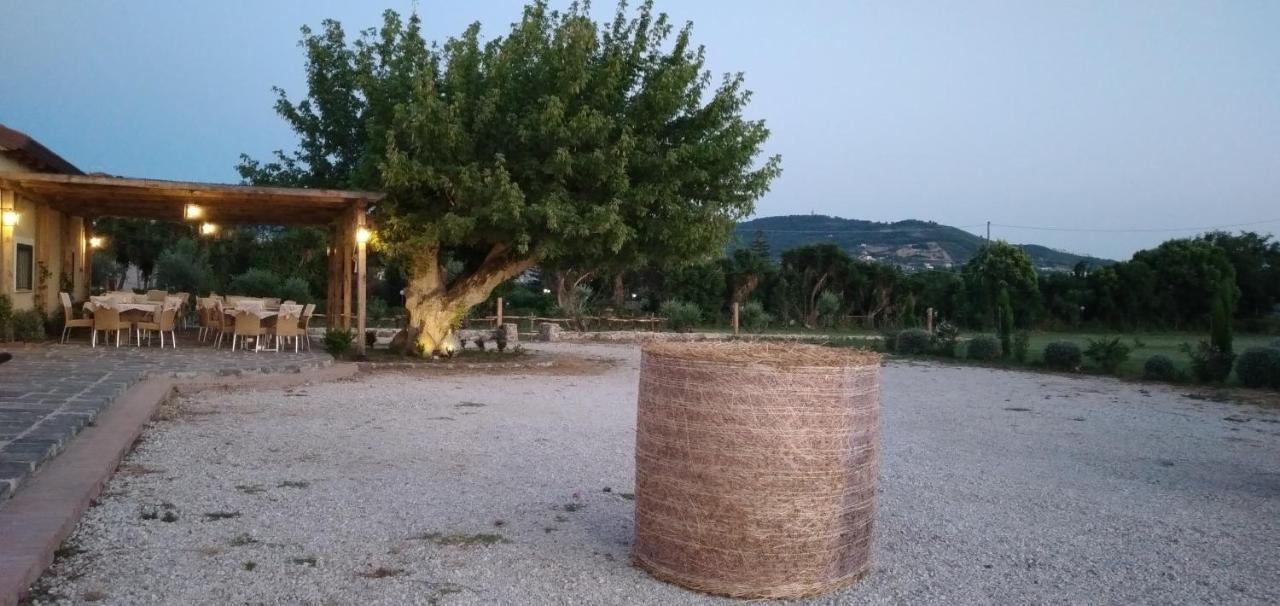 B&B Tenuta San Michele Capaccio Dış mekan fotoğraf
