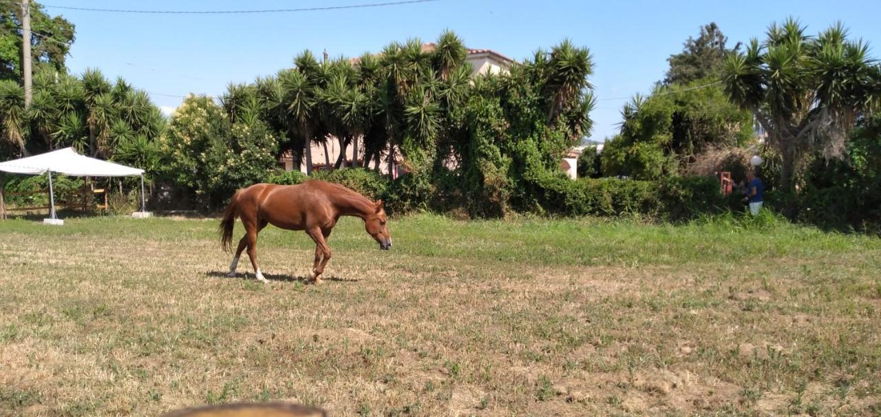 B&B Tenuta San Michele Capaccio Dış mekan fotoğraf