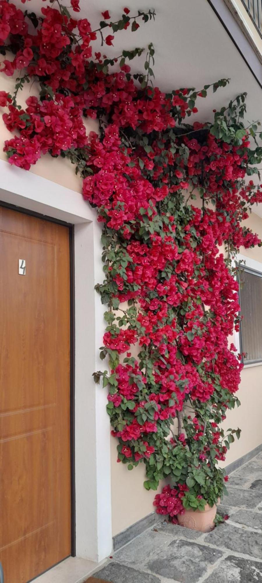 B&B Tenuta San Michele Capaccio Dış mekan fotoğraf