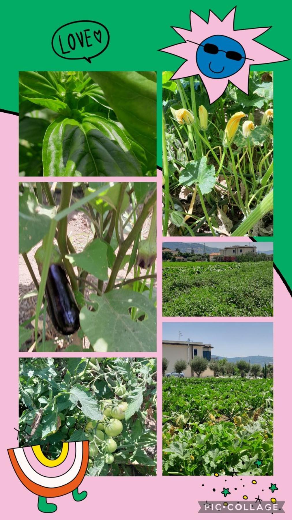 B&B Tenuta San Michele Capaccio Dış mekan fotoğraf
